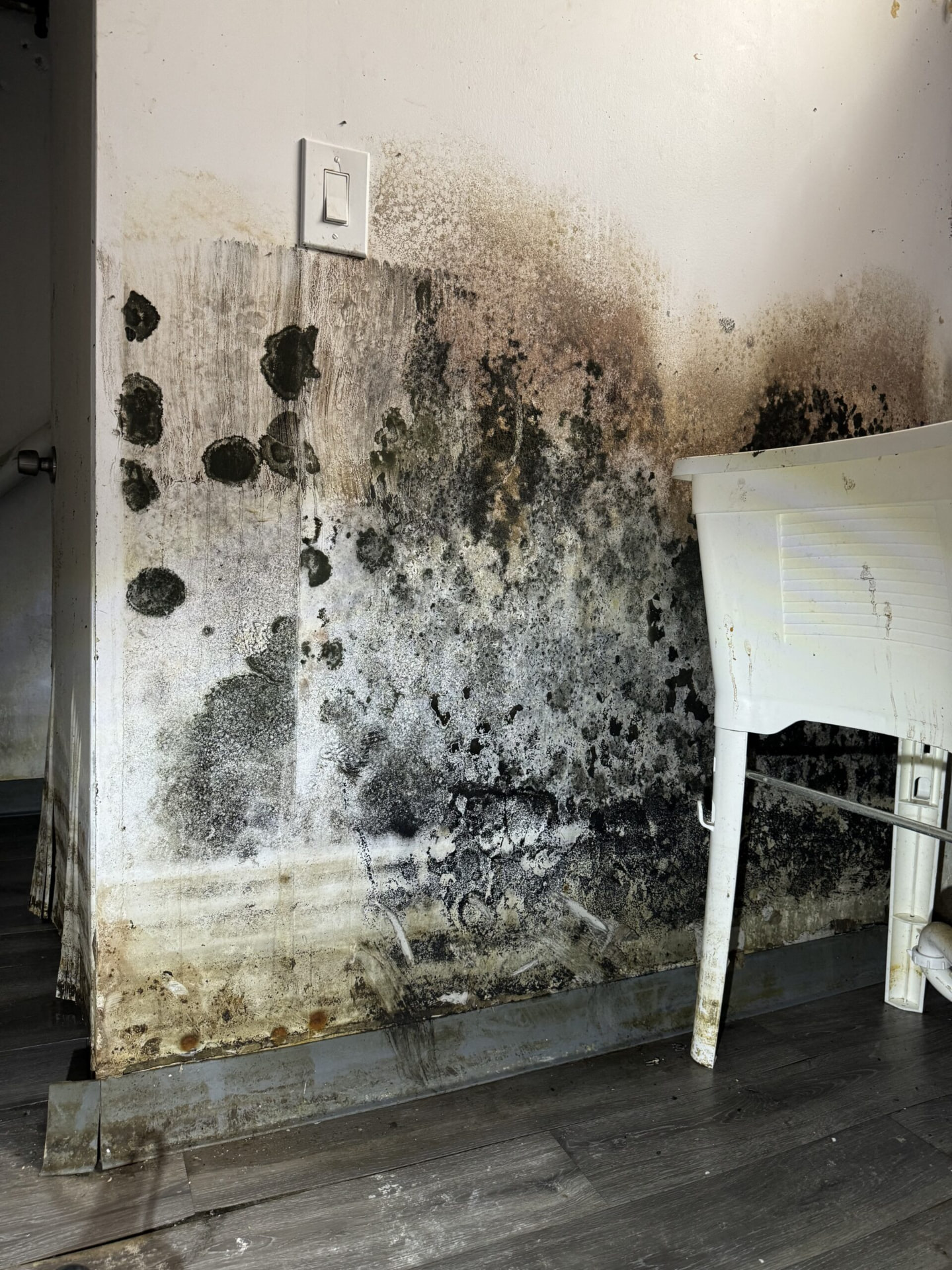 Heavy black mold growth spreading across a damp basement wall near a utility sink